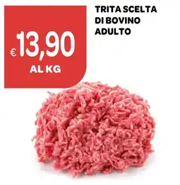 Ekom TRITA SCELTA DI BOVINO ADULTO offerta