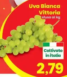 Prix Quality Uva Bianca Vittoria offerta