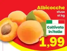 Prix Quality Albicocche sfuse offerta