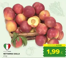 Tigre Amico NETTARINA GIALLA offerta