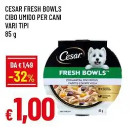 A&O Cesar Fresh Bowls offerta