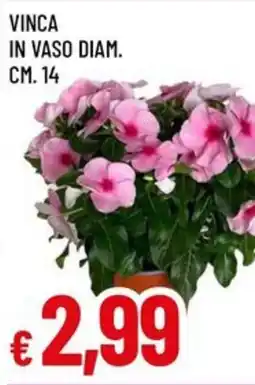 A&O VINCA offerta