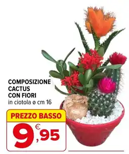 Iperal COMPOSIZIONE CACTUS CON FIORI offerta