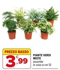 Iperal PIANTE VERDI MISTE offerta