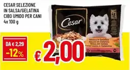 A&O CESAR SELEZIONE IN SALSA/GELATINA offerta