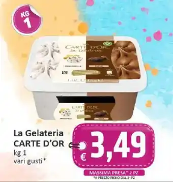 Paghi Poco La Gelateria CARTE D'OR offerta