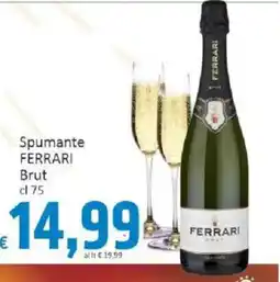 Paghi Poco Spumante FERRARI Brut offerta
