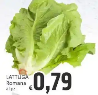 Paghi Poco LATTUGA Romana offerta