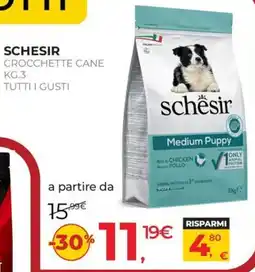 Arcaplanet Schesir Crocchette Cane offerta