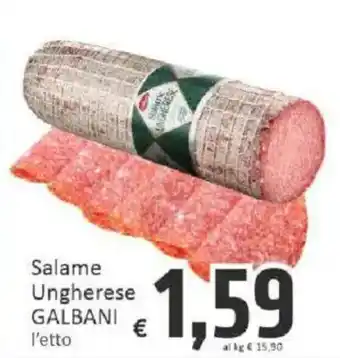 Paghi Poco Salame Ungherese GALBANI offerta