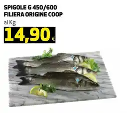 Ipercoop SPIGOLE G 450/600 FILIERA ORIGINE COOP offerta