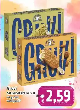 Paghi Poco Gruvi SAMMONTANA offerta