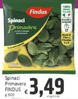 Paghi Poco Spinaci Primavera FINDUS offerta