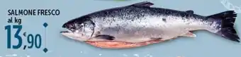 Rossotono Carrefour Salmone fresco offerta