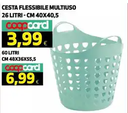 Ipercoop CESTA FLESSIBILE MULTIUSO offerta