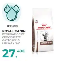 Arcaplanet Royal Canin Eterinary Diet Crocchette Gatto offerta