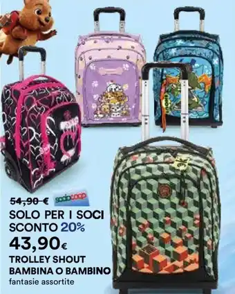 Trolley shout bambina o bambino