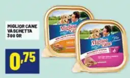 Risparmio Casa Miglior Cane Vaschetta offerta