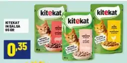 Risparmio Casa kitekat IN SALSA offerta