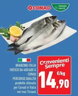 Conad Superstore Branzino italia fresco conad percorso qualità offerta