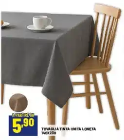 Risparmio Casa TOVAGLIA TINTA UNITA LONETA offerta