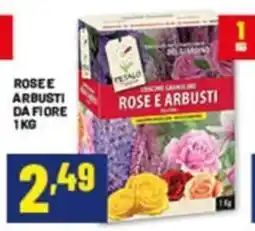 Risparmio Casa Concorso Granulare Rose e Arbusti offerta