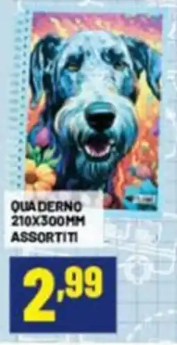 Risparmio Casa QUADERNO offerta