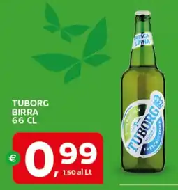 Extra Supermercati TUBORG BIRRA offerta