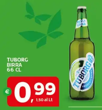 Extra Supermercati TUBORG BIRRA offerta