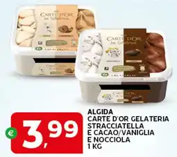 Extra Supermercati ALGIDA CARTE D'OR GELATERIA offerta
