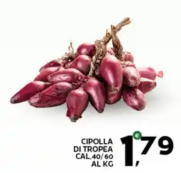 Extra Supermercati Cipolla di Tropea offerta