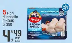 Supermercati Dok 5 Fiori di Nasello FINDUS offerta