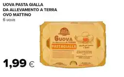 Tigre Guova Pasta Gialla offerta