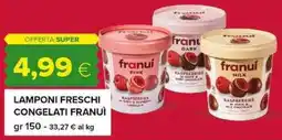 Tigre Lamponi freschi congelati Franuì offerta