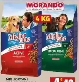 Maury's Miglior cane ACTIVE offerta