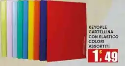 Maury's KEYOPLE CARTELLINA CON ELASTICO offerta