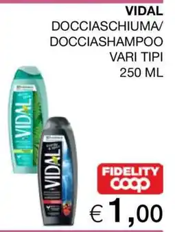 Coop VIDAL DOCCIASCHIUMA/DOCCIASHAMPOO offerta
