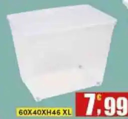 Maury's Easy box trasparente offerta