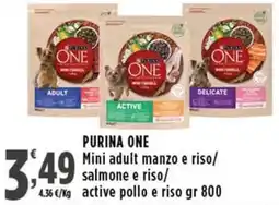 Rossotono Carrefour Purina one Mini adult manzo e riso offerta