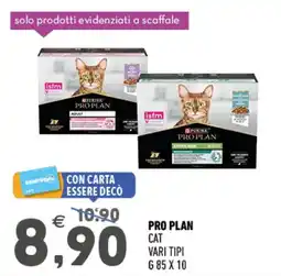 Ayoka Pro plan cat offerta