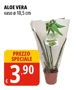 Tigros ALOE VERA offerta