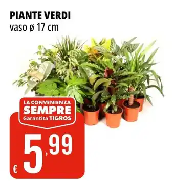 Tigros PIANTE VERDI offerta