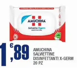 Splendidi e Splendenti AMUCHINA SALVIETTINE DISINFETTANTI X-GERM offerta
