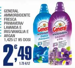 Splendidi e Splendenti General Ammorbidente offerta