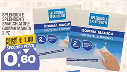 Splendidi e Splendenti Splendidi e splendenti smacchiatore gomma magica offerta