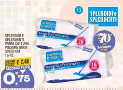 Splendidi e Splendenti Splendidi e splendenti panni cattura polvere maxi offerta