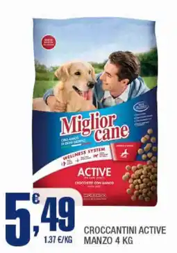 Splendidi e Splendenti Miglior cane ACTIVE offerta