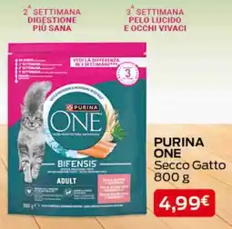 Splendidi e Splendenti Purina One Secco Gatto offerta