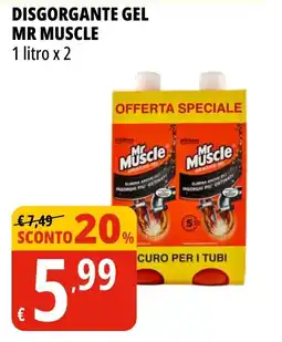 Tigros DISGORGANTE GEL MR MUSCLE offerta