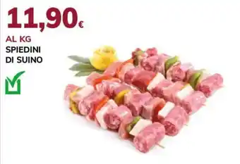 Basko Spiedini di suino offerta